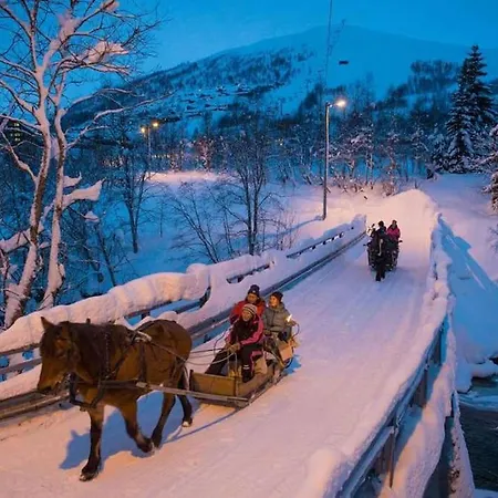 Large And Luxurious Family In Myrkdalen *