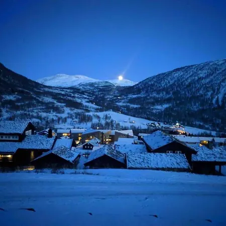 Large And Luxurious Family In Myrkdalen * Helgatun