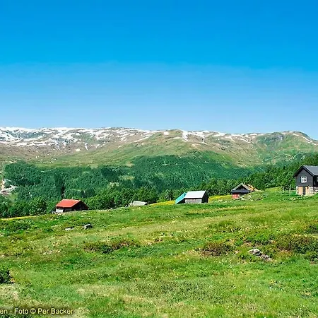 Large And Luxurious Family In Myrkdalen