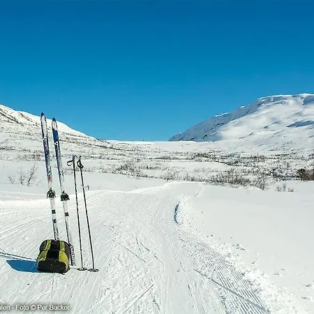 度假居 Large And Luxurious Family In Myrkdalen *