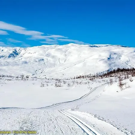 Large And Luxurious Family In Myrkdalen *
