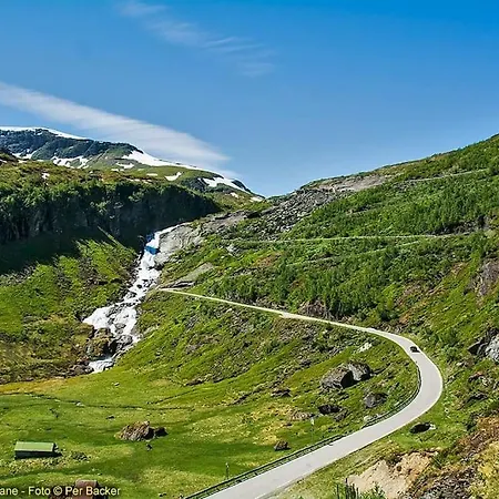 Large And Luxurious Family In Myrkdalen