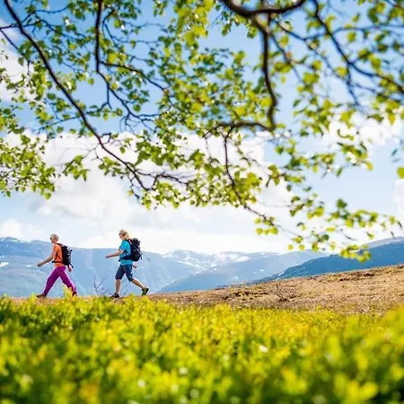 Large And Luxurious Family In Myrkdalen