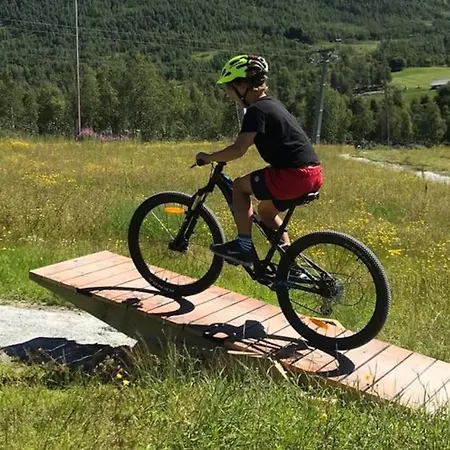 Tatil Evi Large And Luxurious Family In Myrkdalen Helgatun