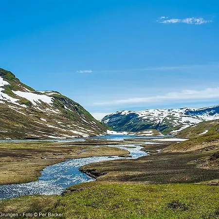 Large And Luxurious Family In Myrkdalen * Helgatun