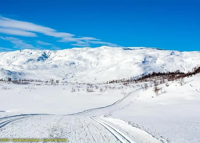 Large And Luxurious Family In Myrkdalen *