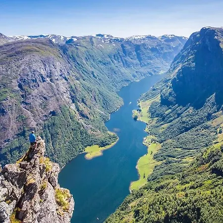 Large And Luxurious Family In Myrkdalen Сasa de vacaciones Helgatun