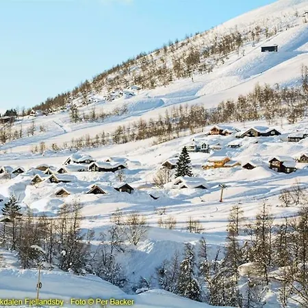 Large And Luxurious Family In Myrkdalen Сasa de vacaciones *
