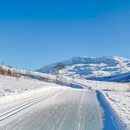 Large And Luxurious Family In Myrkdalen Сasa de vacaciones *