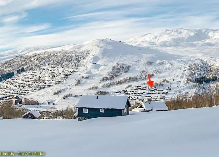 Large And Luxurious Family In Myrkdalen * Helgatun