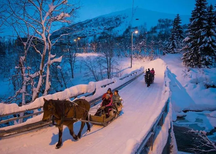 Large And Luxurious Family In Myrkdalen *