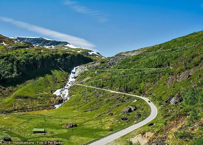 Large And Luxurious Family In Myrkdalen