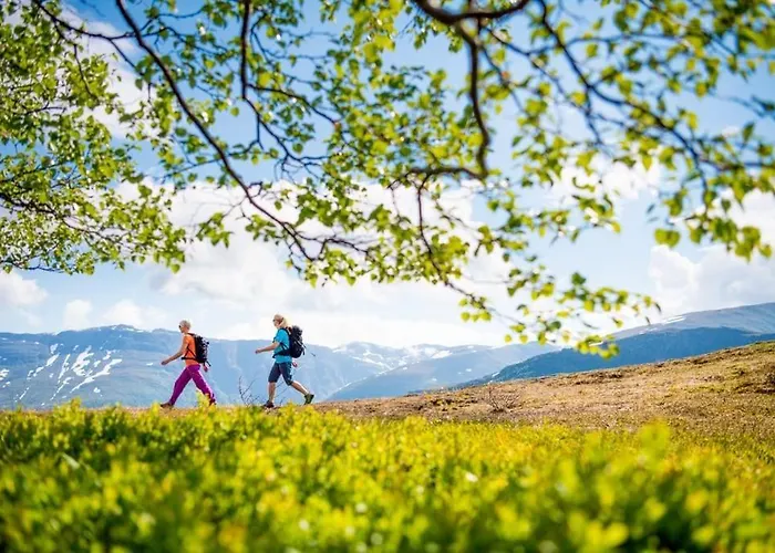 Large And Luxurious Family In Myrkdalen